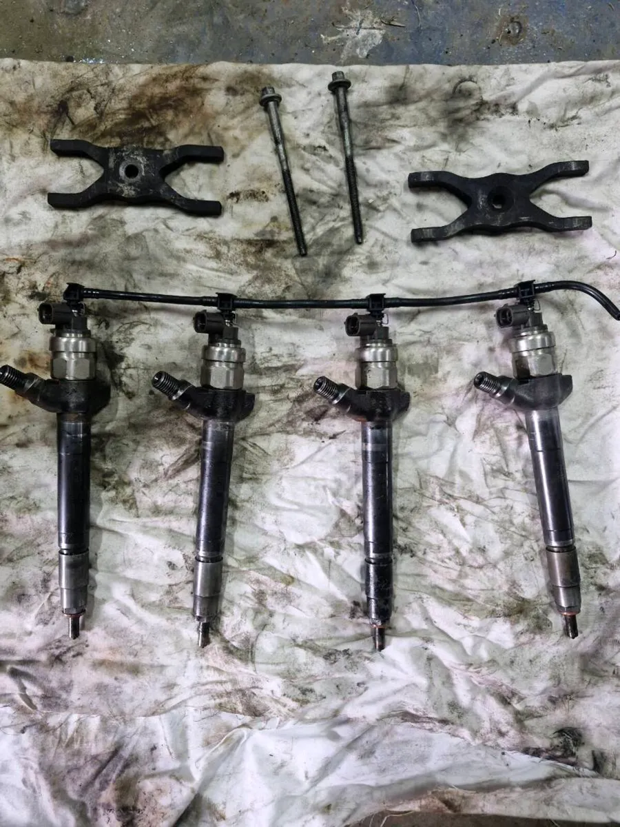 Ducato  transit   injectors 2.2