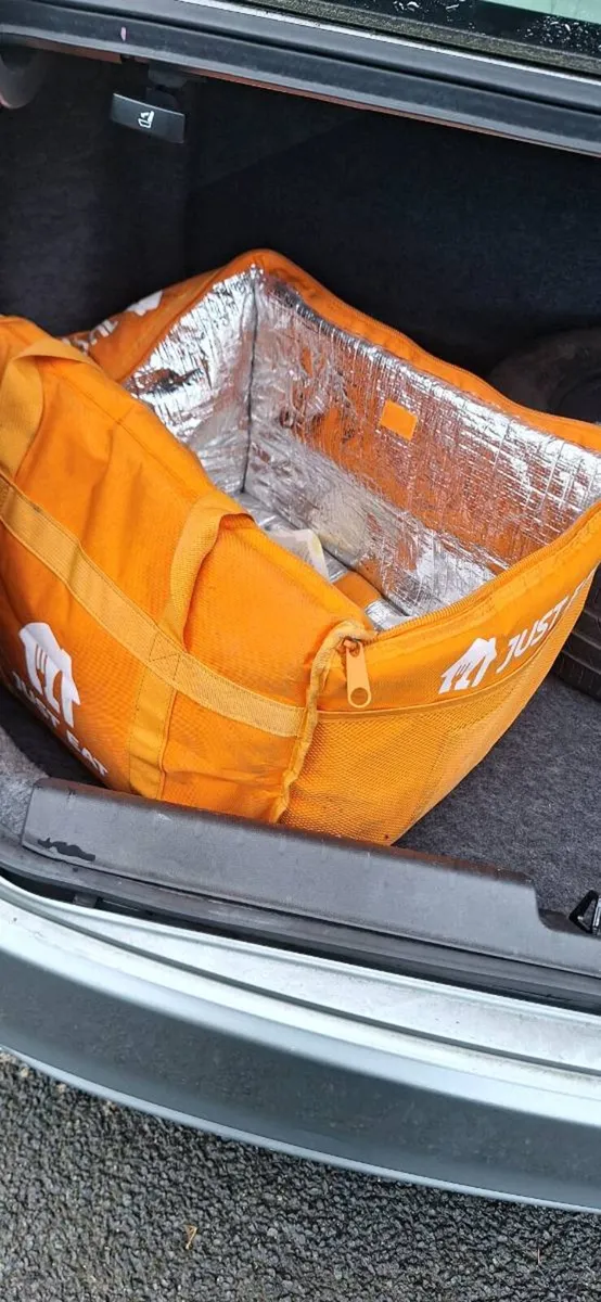 courier food delivery bag just eat