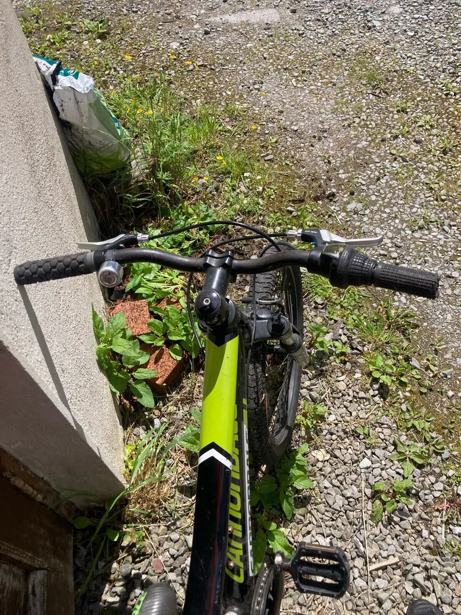 Children’s Mountain bike Cannondale 20“ - Image 2