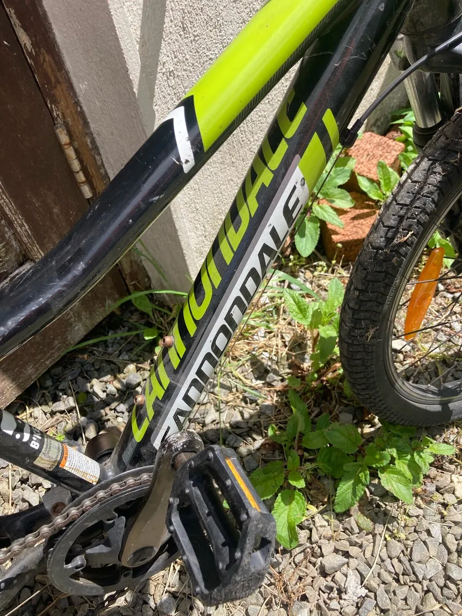 Children’s Mountain bike Cannondale 20“ - Image 4