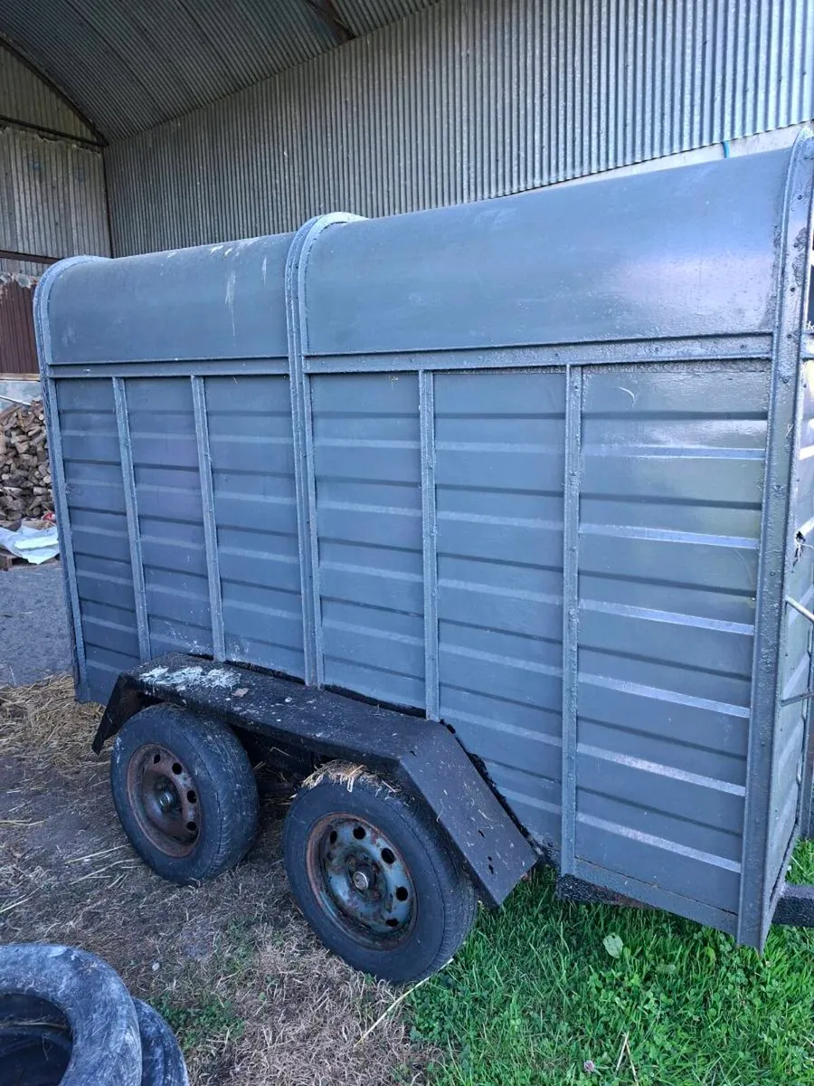 Cattle trailer - Image 3