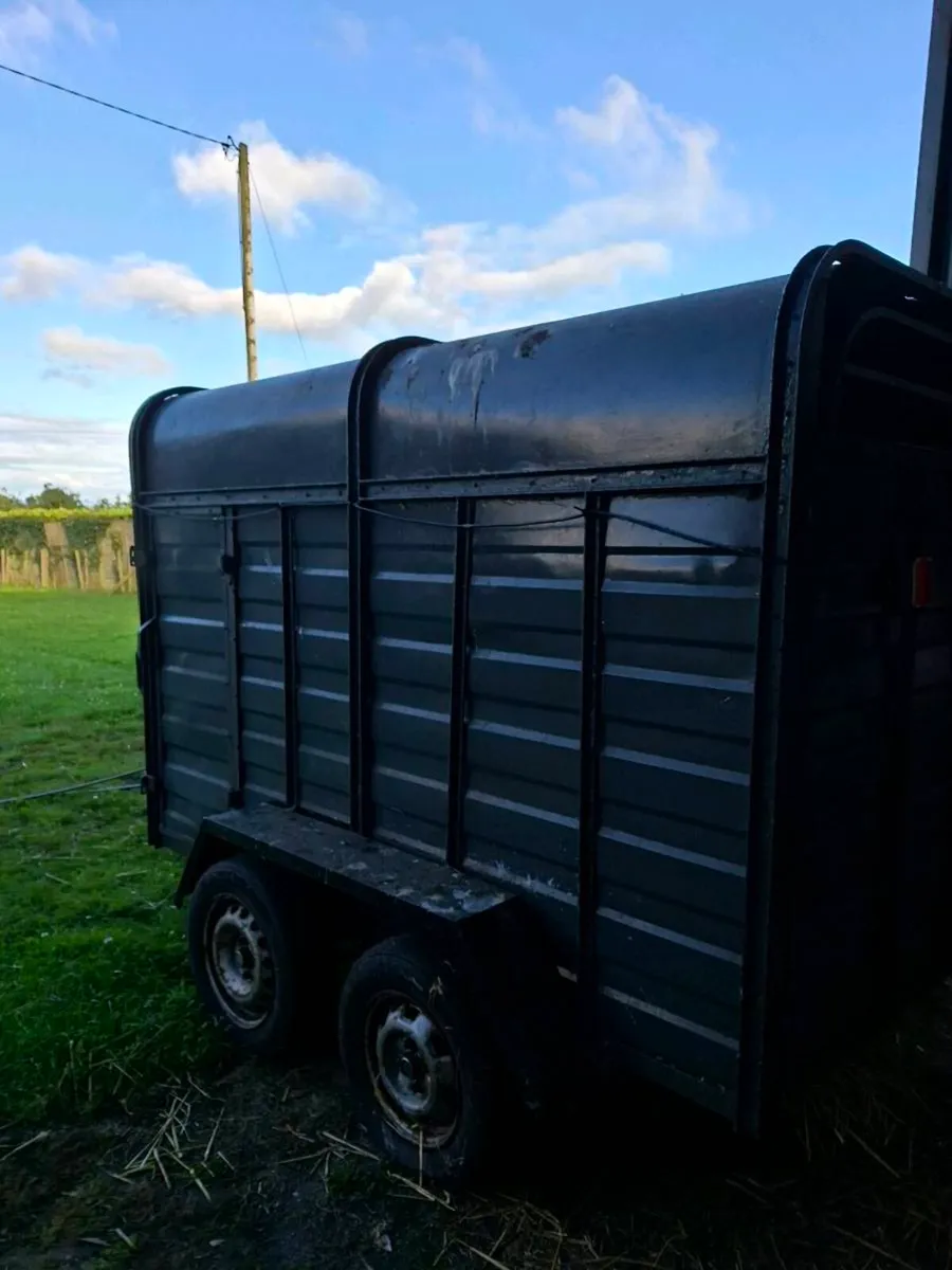Cattle trailer - Image 4