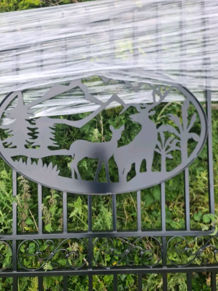 20 ft gates - Image 2