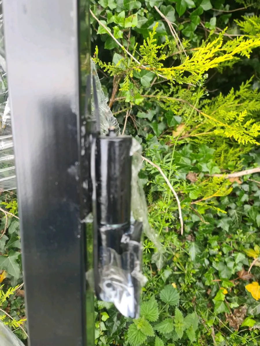 20 ft gates - Image 3