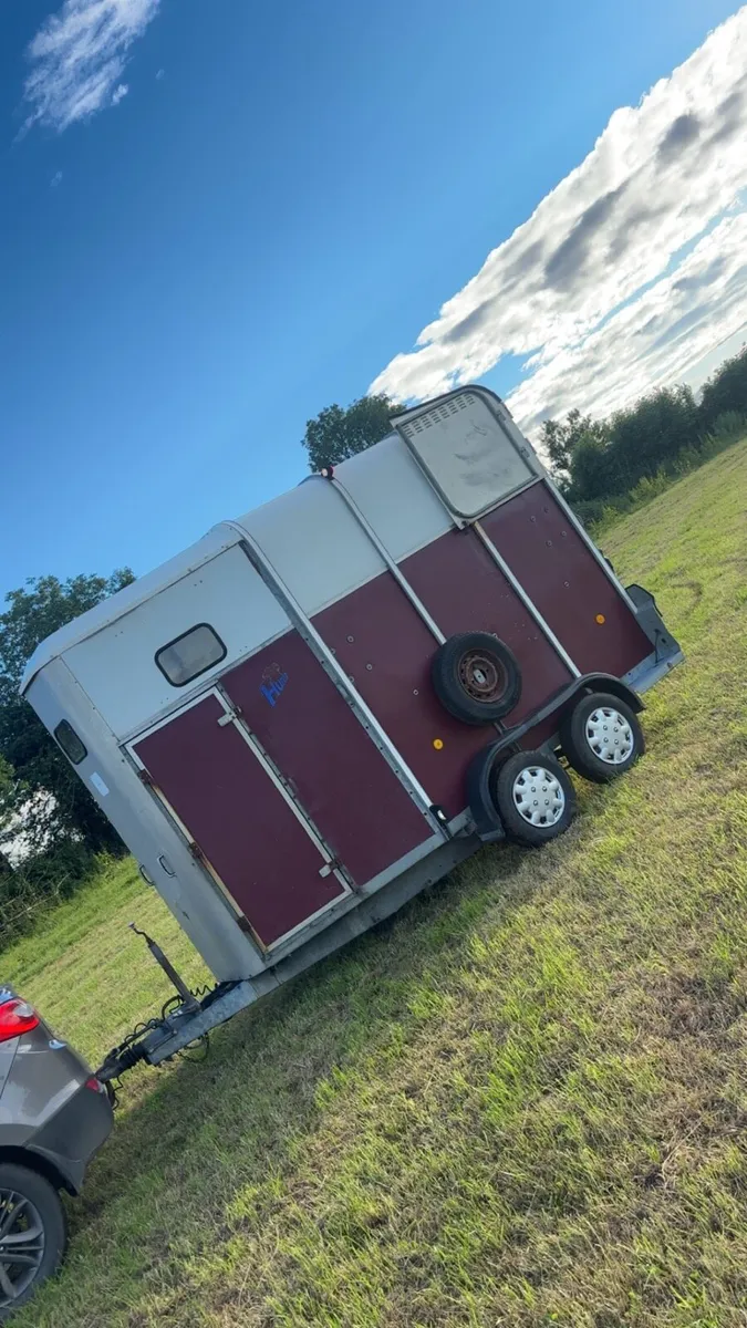 Ifor Williams 510 horse box - Image 1