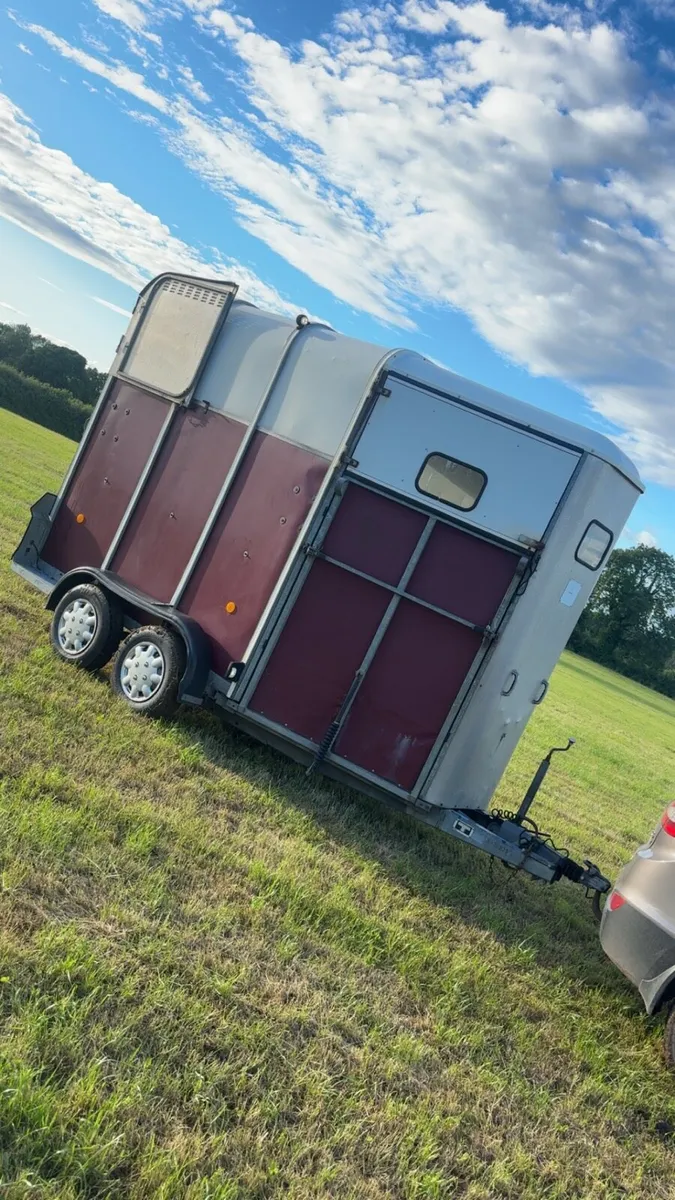 Ifor Williams 510 horse box - Image 2
