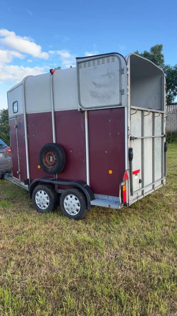 Ifor Williams 510 horse box - Image 3