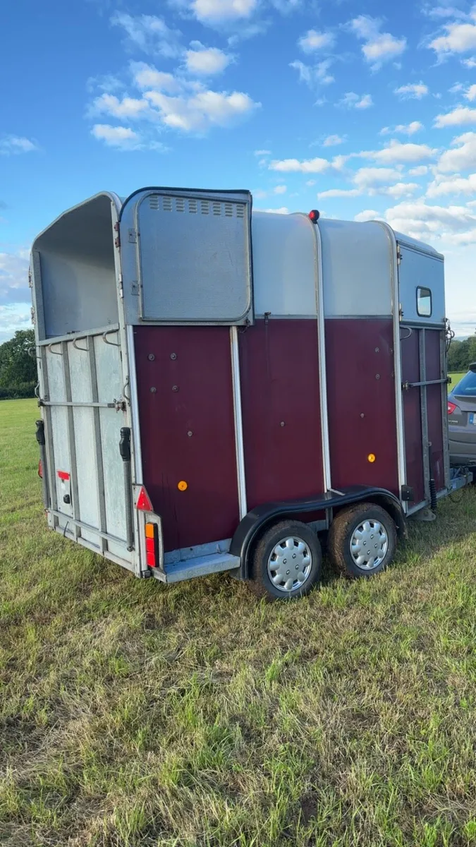 Ifor Williams 510 horse box - Image 4