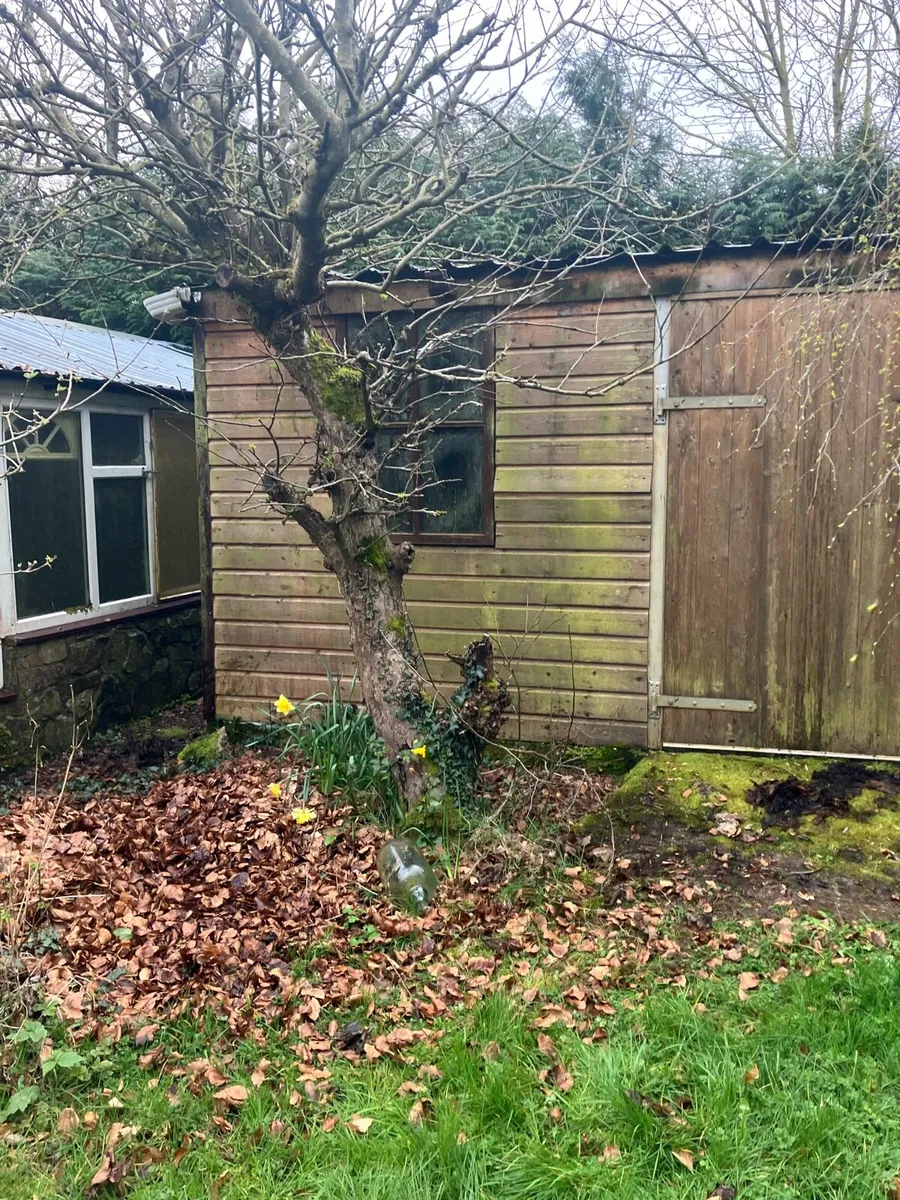 Shed - Image 4