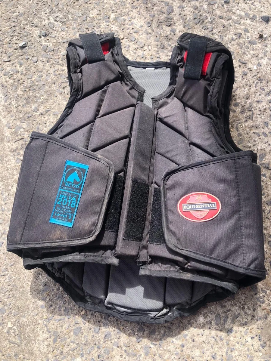 Horse riding accessories - Image 1