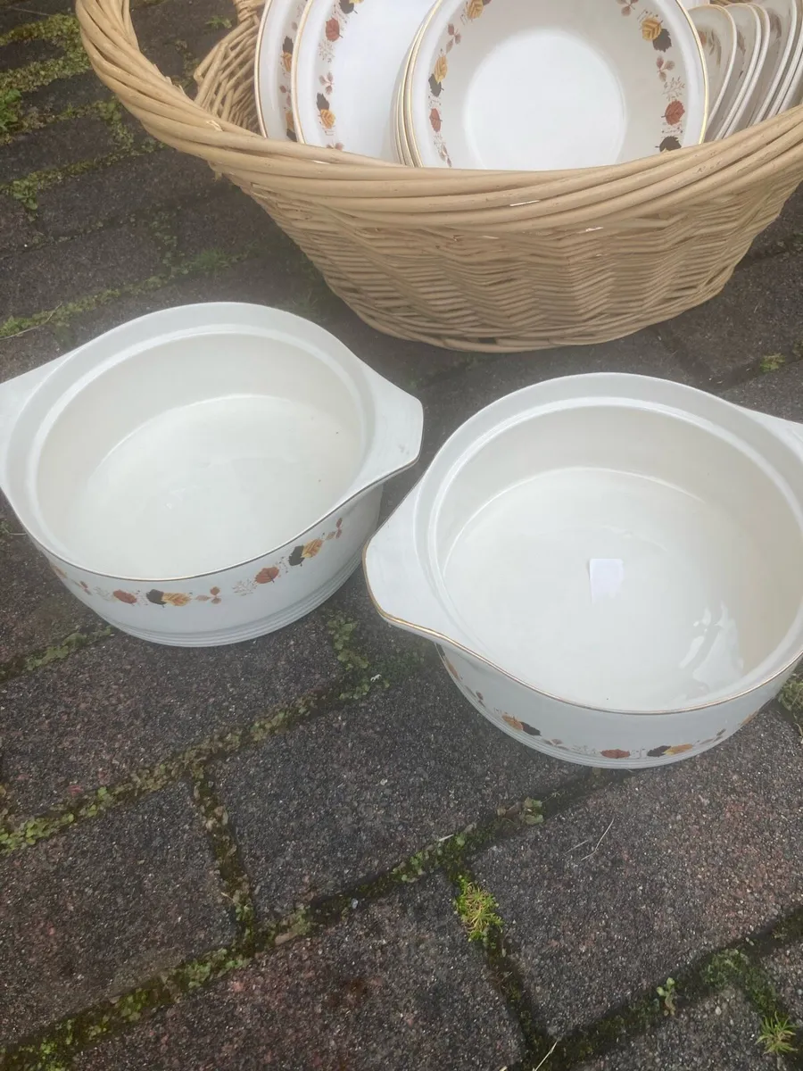 Arklow autumn leaves pattern part dinner set - Image 3