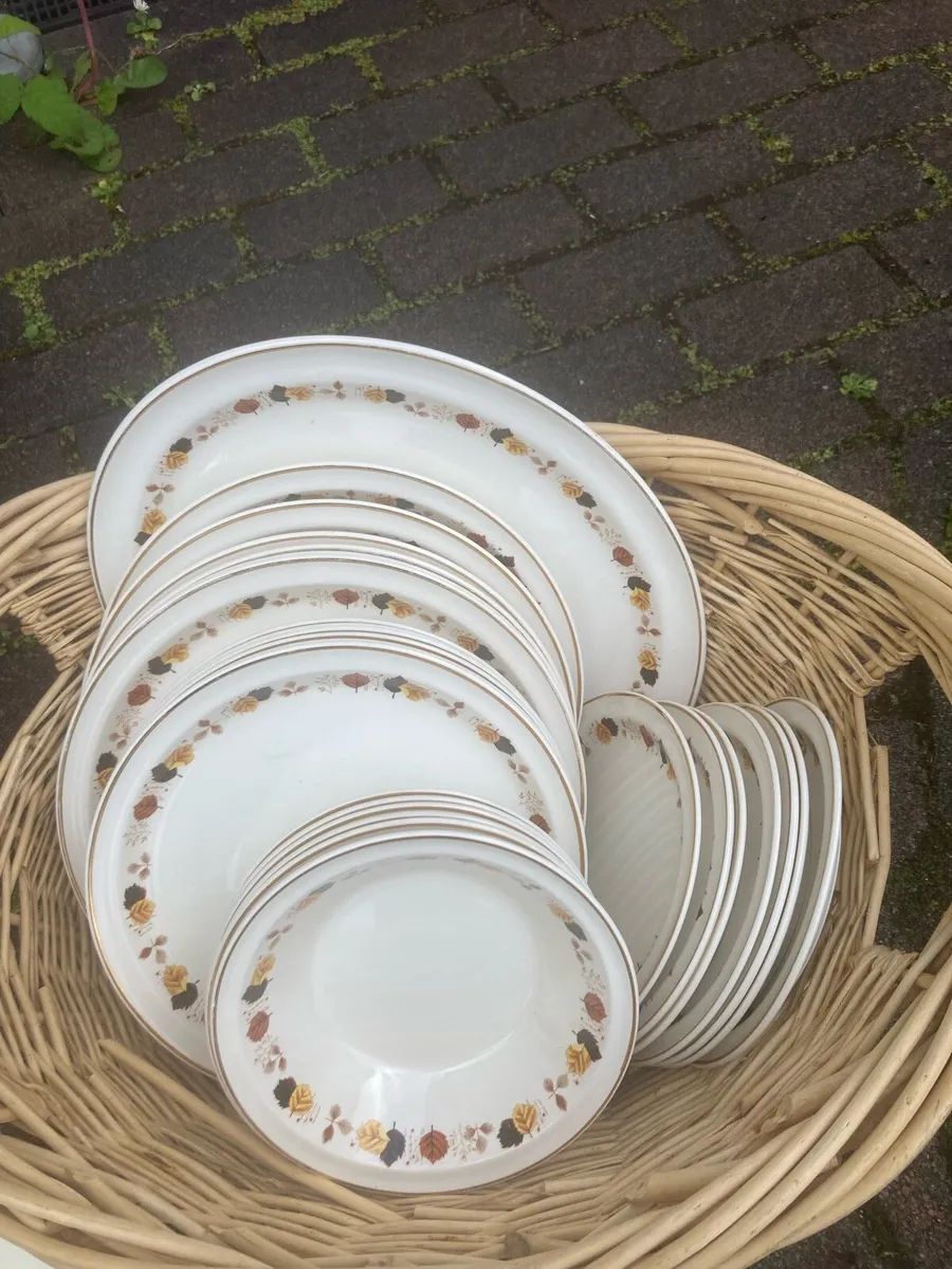 Arklow autumn leaves pattern part dinner set - Image 2