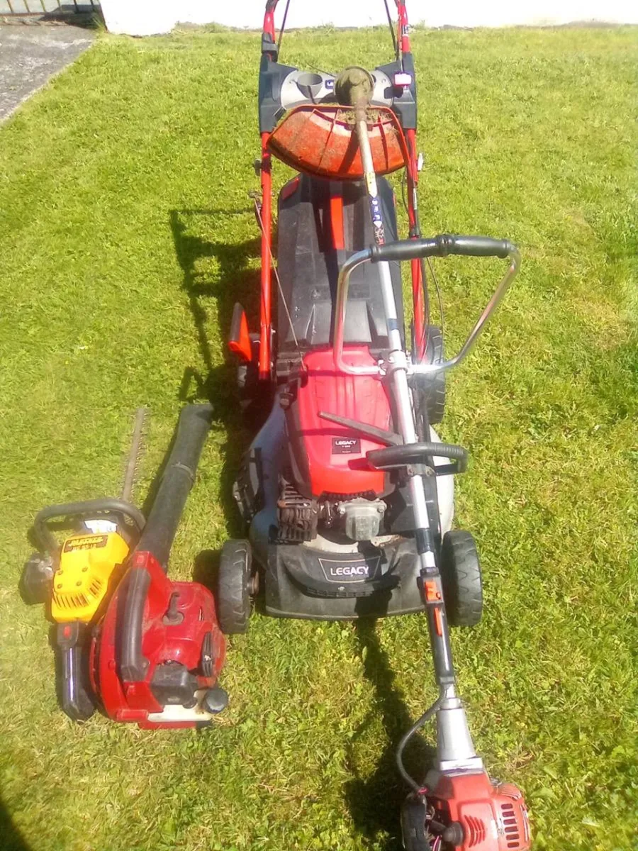 Man.  Available. To. Cut. Lawns - Image 4