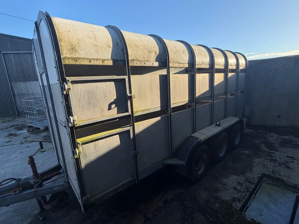 14ft Nugent cattle trailer - Image 2
