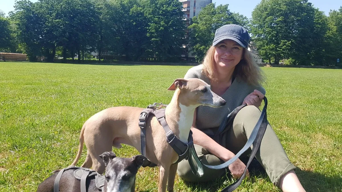 house and pet sitter - Image 1
