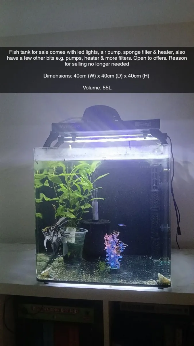 Fish tanks - Image 1