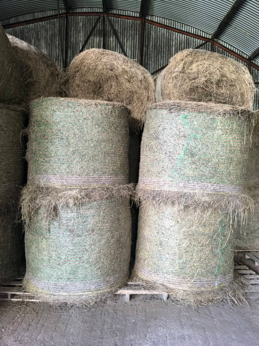 Hay Clearance