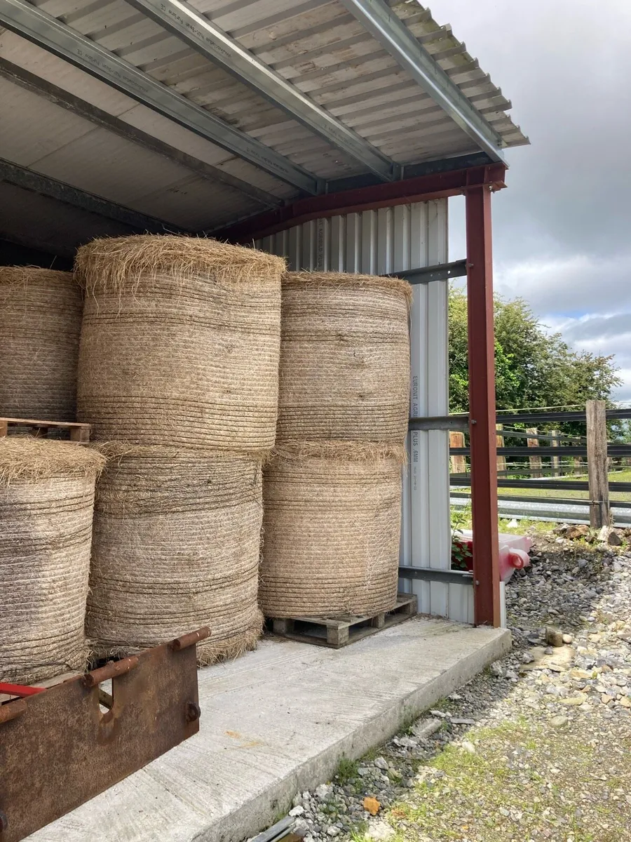 Hay - Image 3