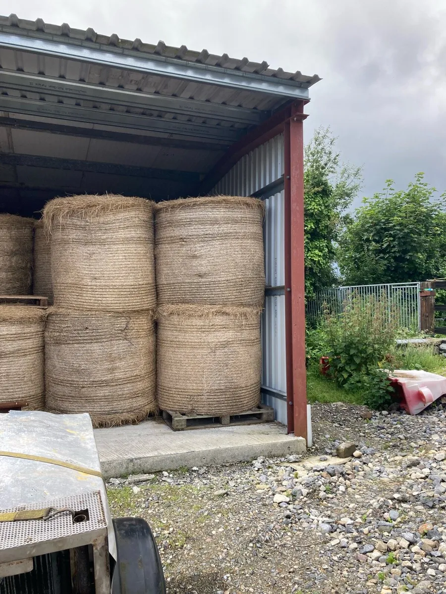 Hay - Image 1