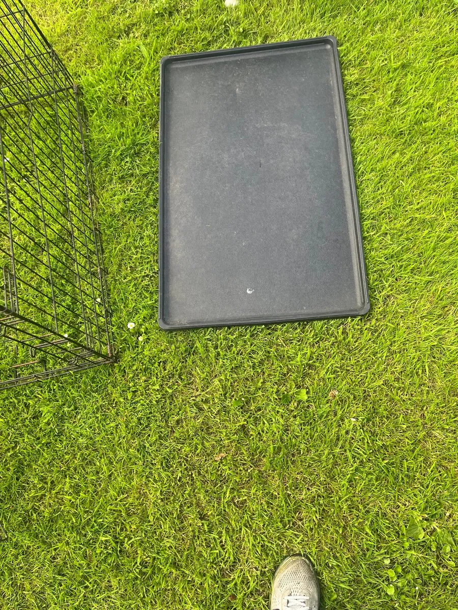 Large dog crate - Image 4
