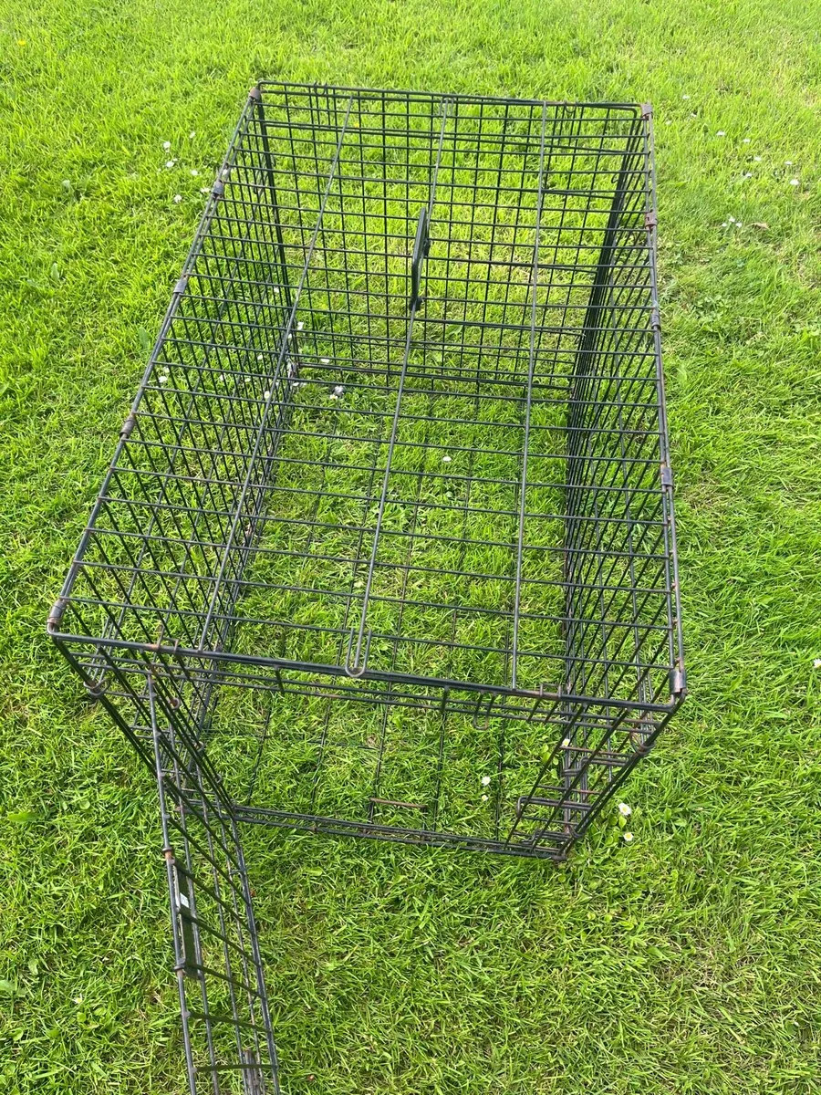 Large dog crate - Image 1
