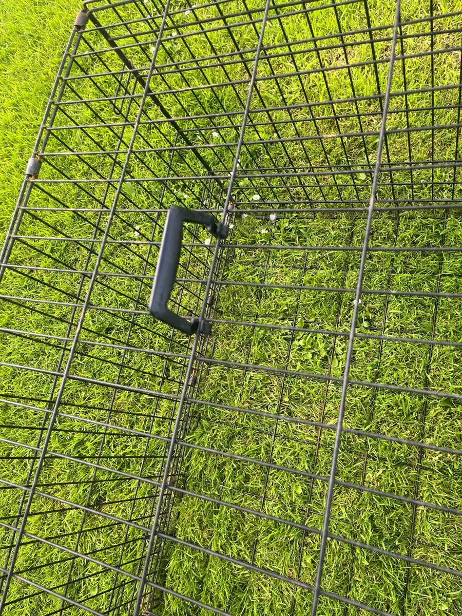 Large dog crate - Image 2