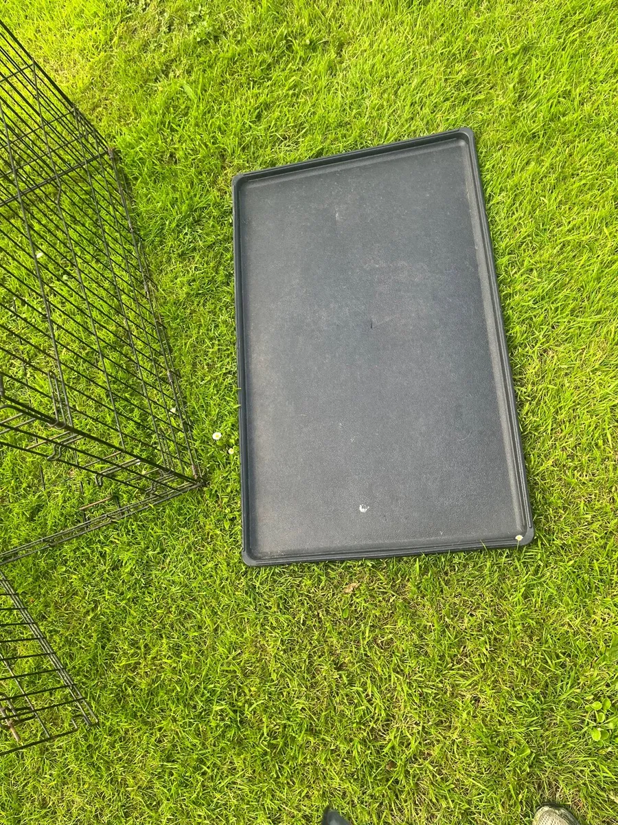Large dog crate - Image 3