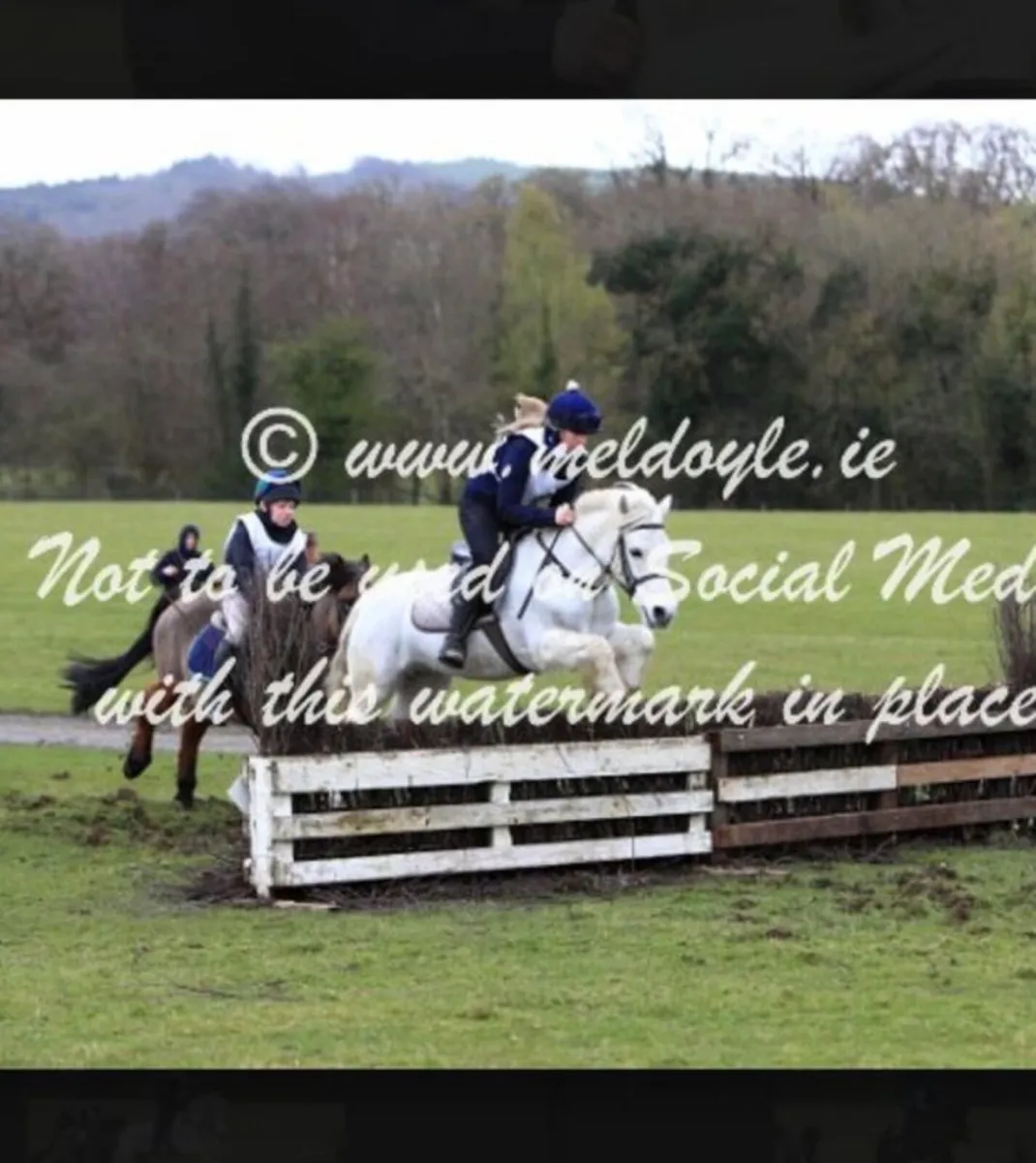 Ponies - Image 2