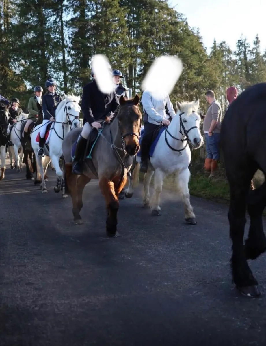 Ponies - Image 1