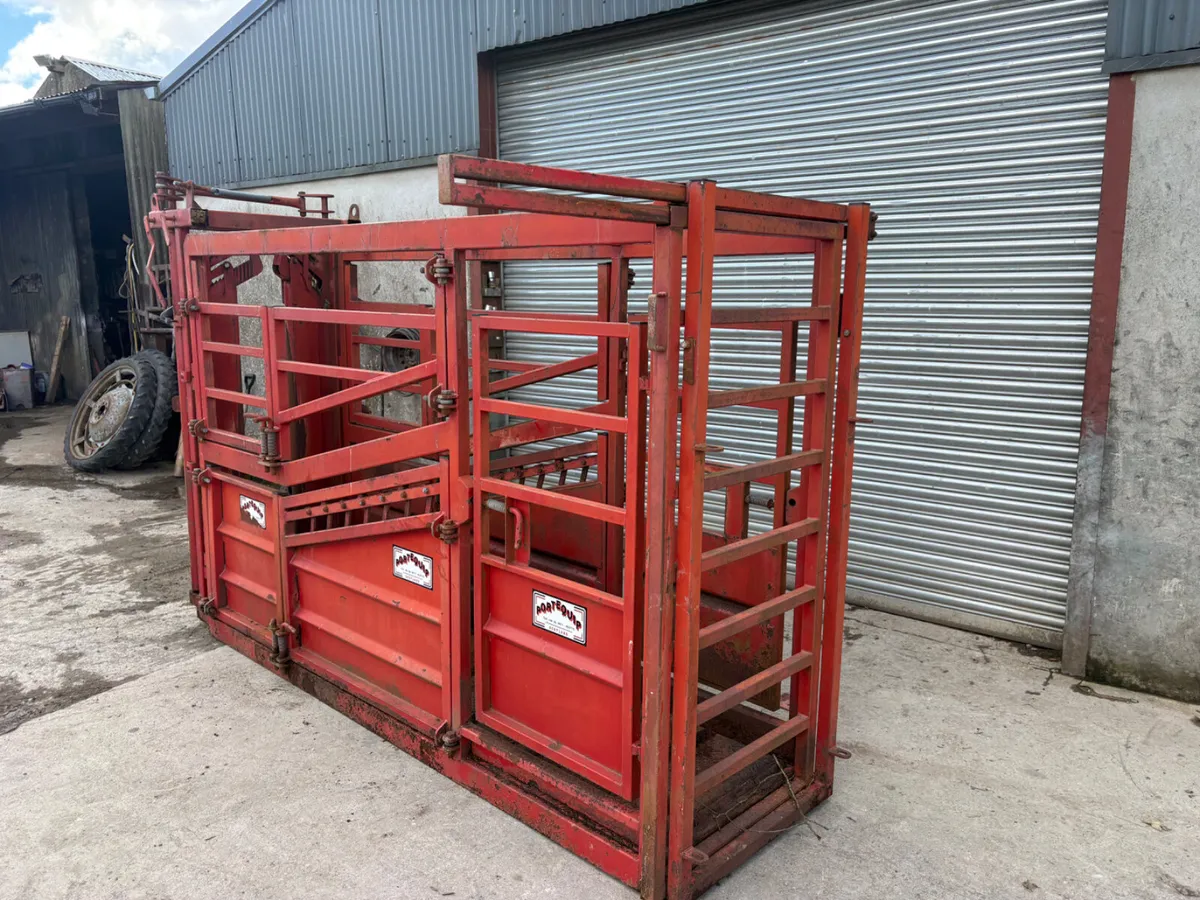 Heavy duty cattle crush - Image 4
