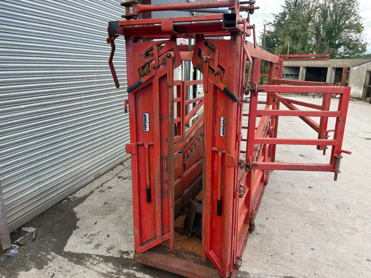 Heavy duty cattle crush - Image 3