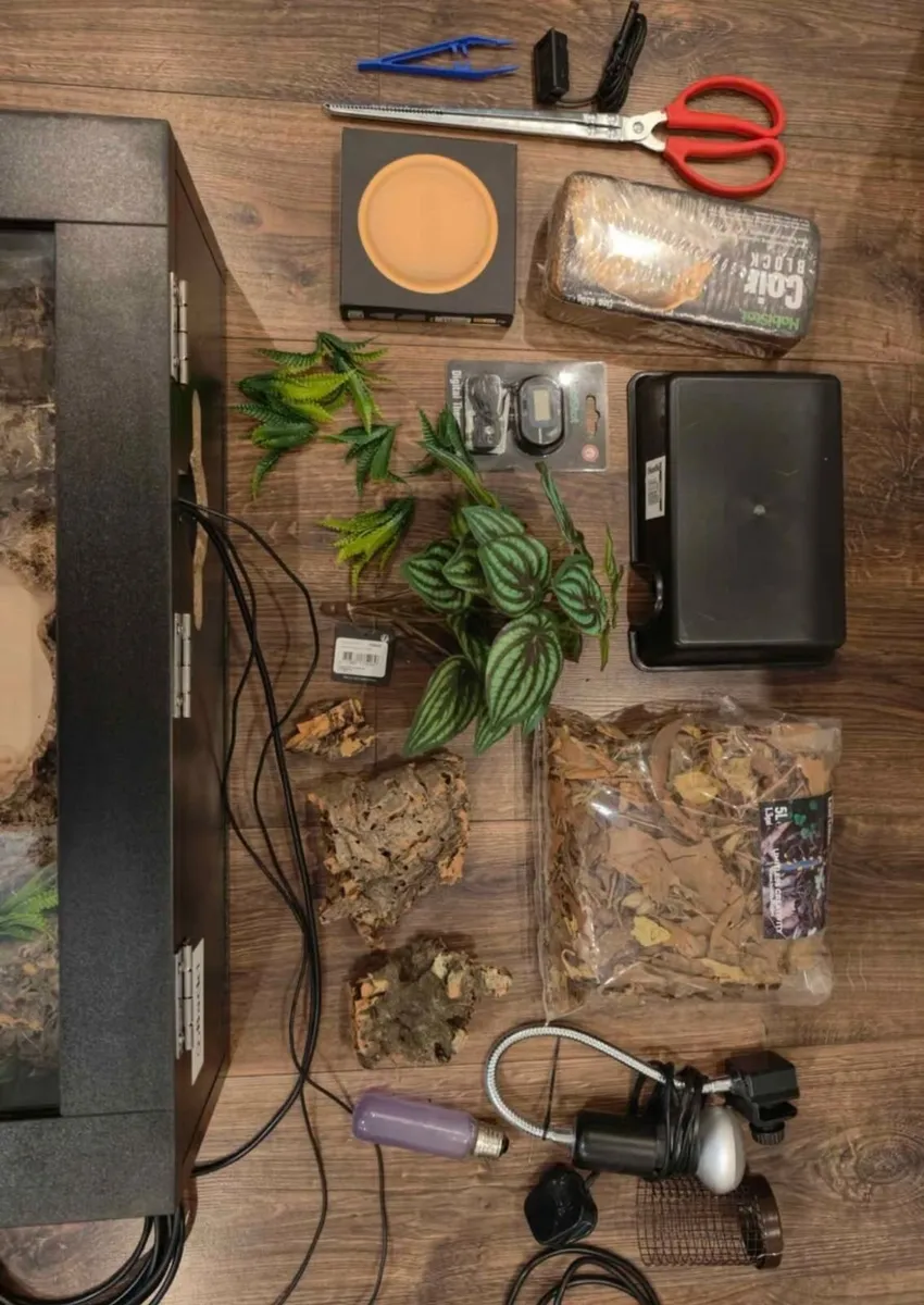 Reptile Terrarium - Image 4