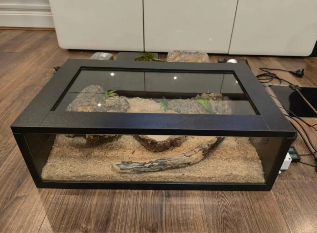 Reptile Terrarium - Image 3