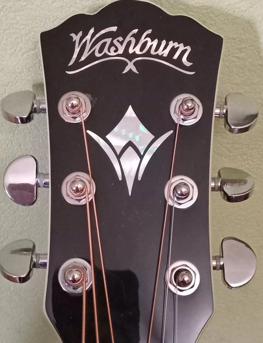 Washburn EA12B-A brand new... - Image 3
