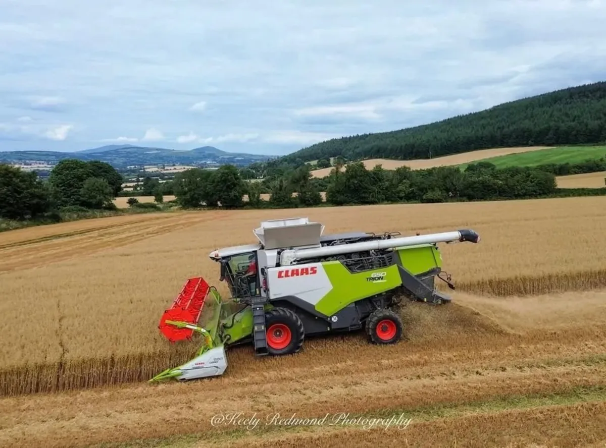 2023 Claas Trion 650 - €210,000 + VAT - Image 2