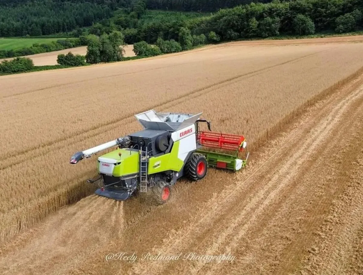2023 Claas Trion 650 - €210,000 + VAT - Image 3
