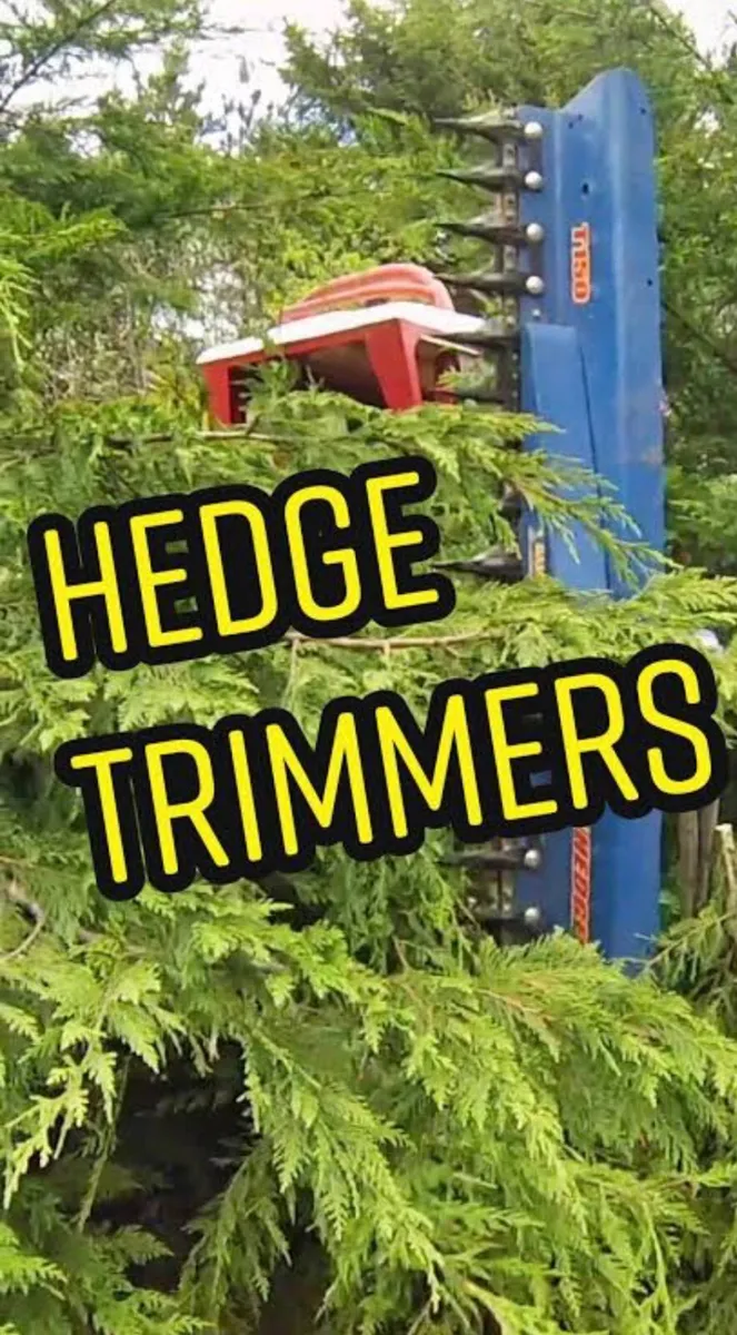 Auger Torque T150 Hedge-trimmers For Sale - Image 2