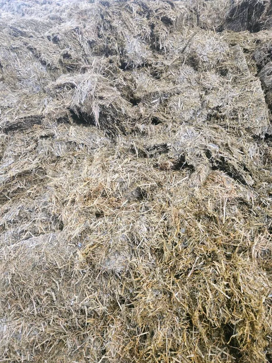 1st and 2nd cut pit silage last years - Image 2