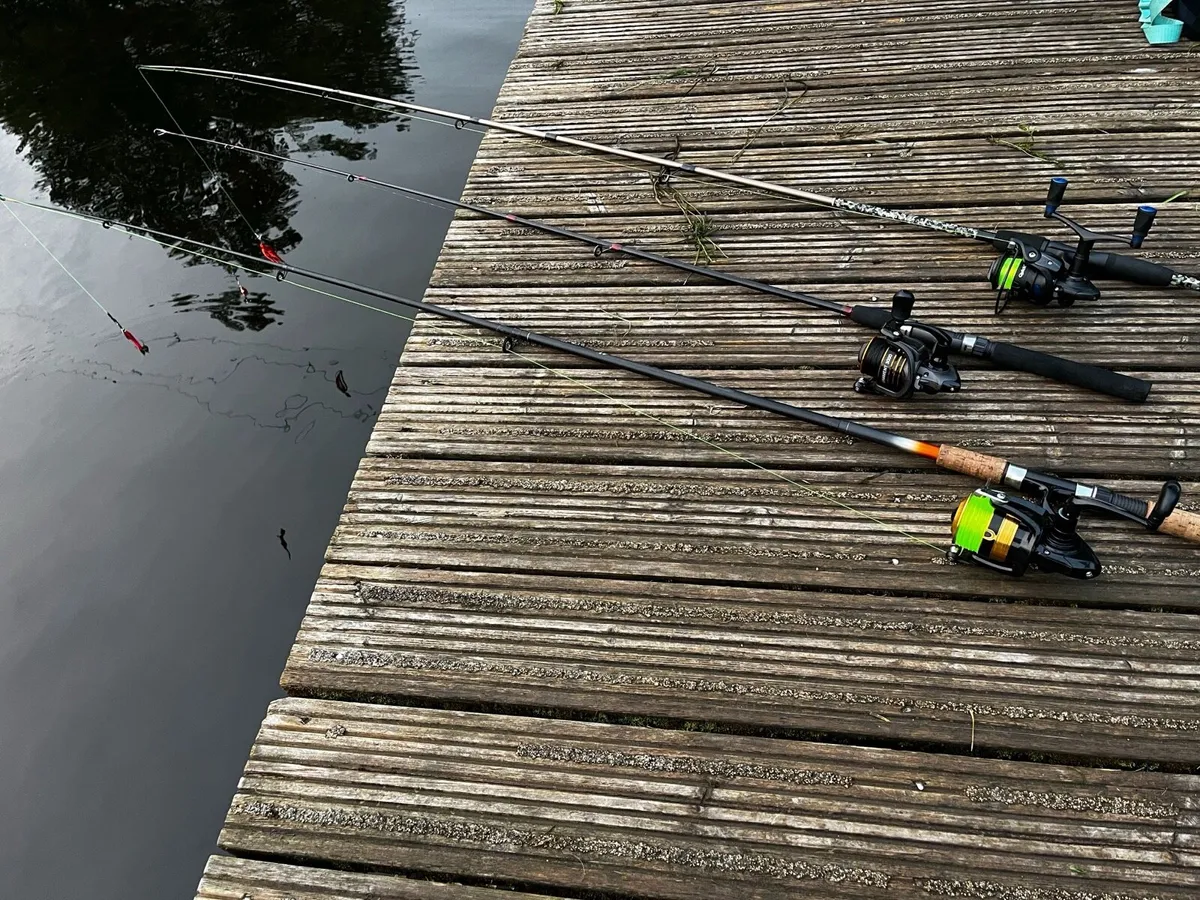 Fishing rod - Image 1