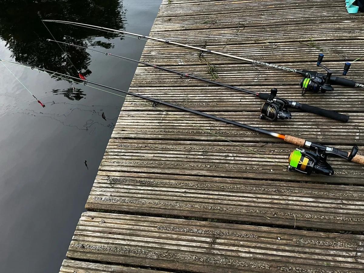 Fishing rod - Image 2
