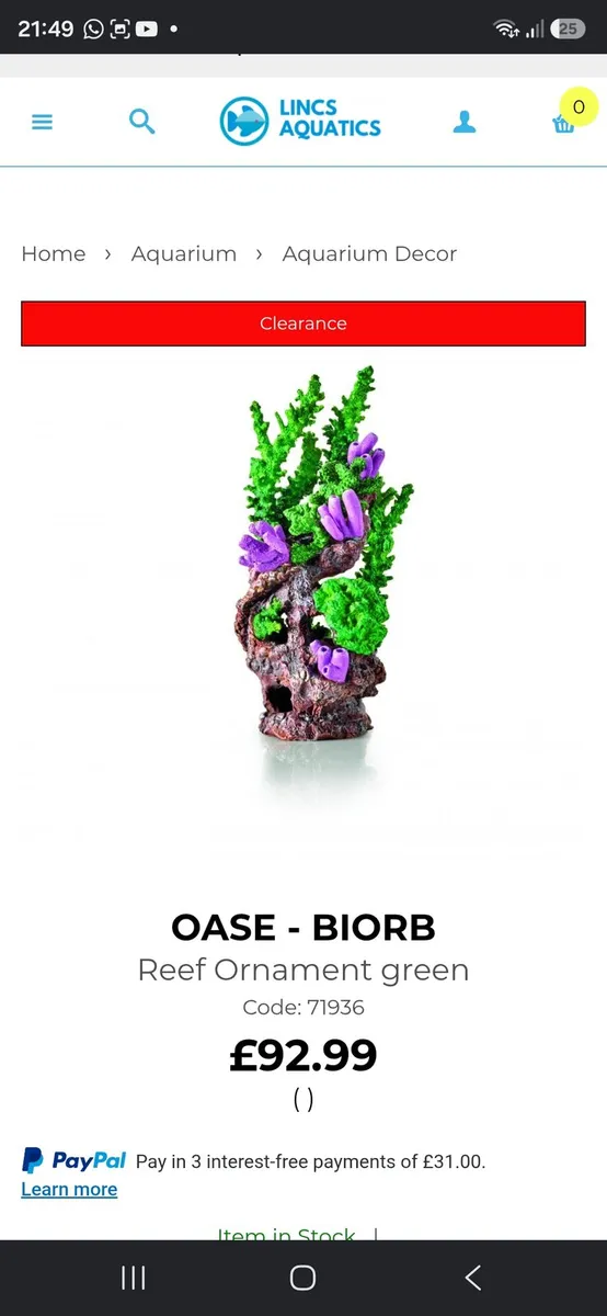 biOrb Coral Reef Ornament Green - Image 2