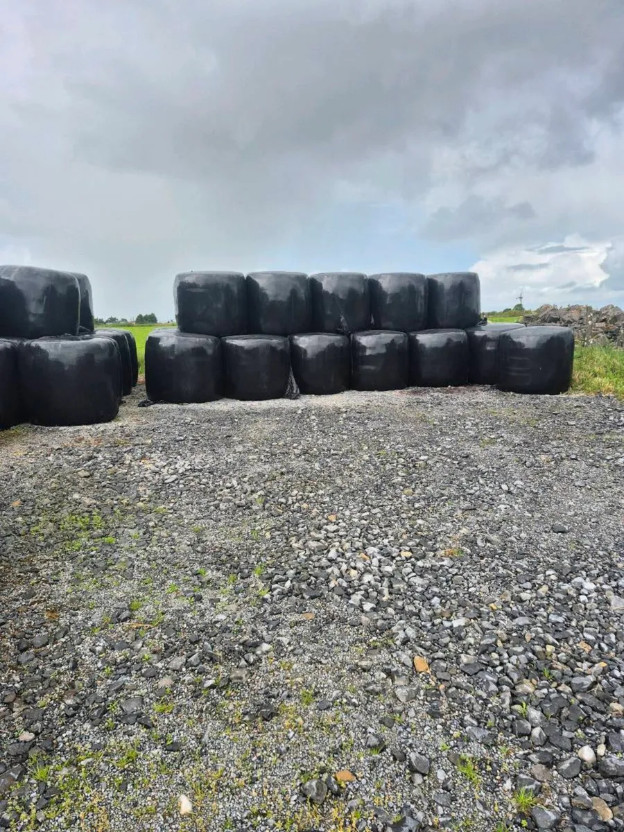 Silage
