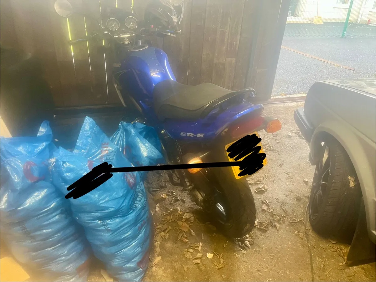 Kawasaki er5 - Image 3