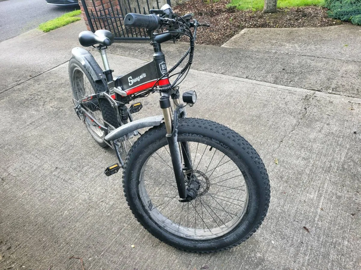 Ebike - Image 4