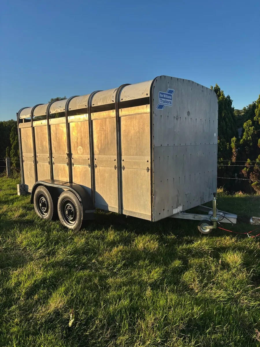 12x6 Ifor Williams cattle box - Image 1