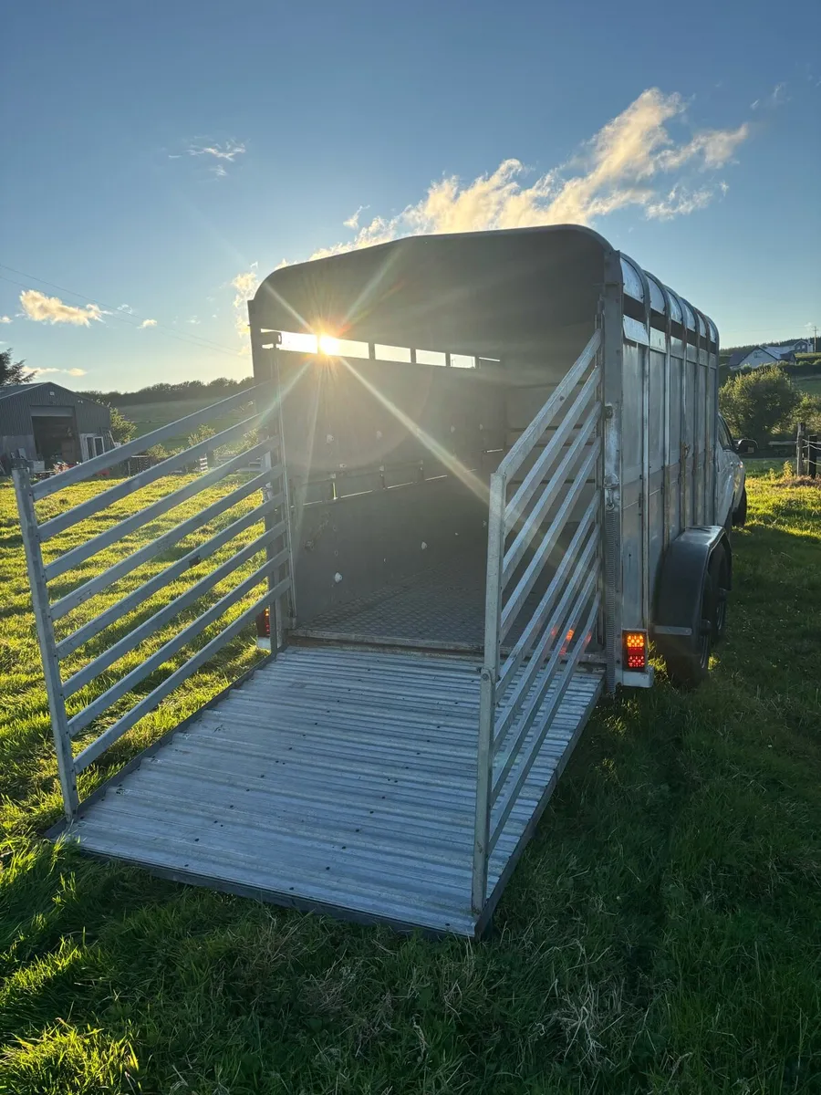 12x6 Ifor Williams cattle box - Image 2
