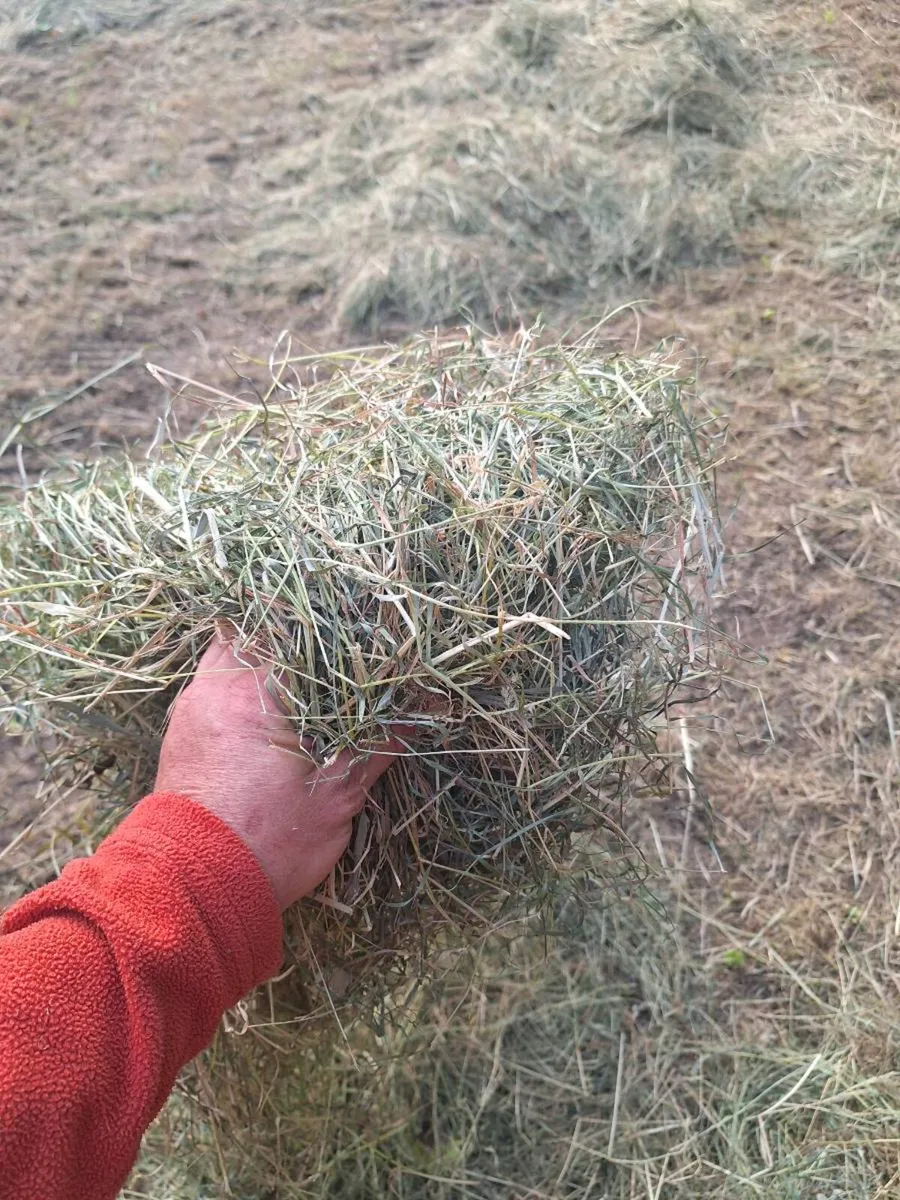 Good quality hay