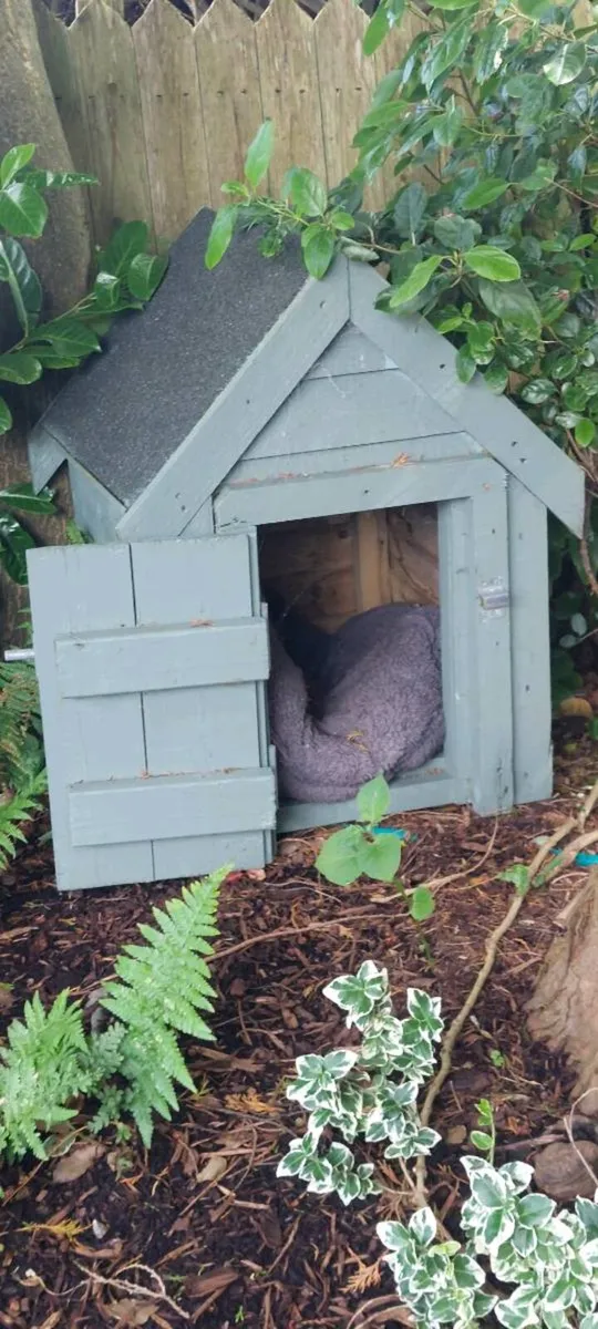 Dog kennel - Image 1