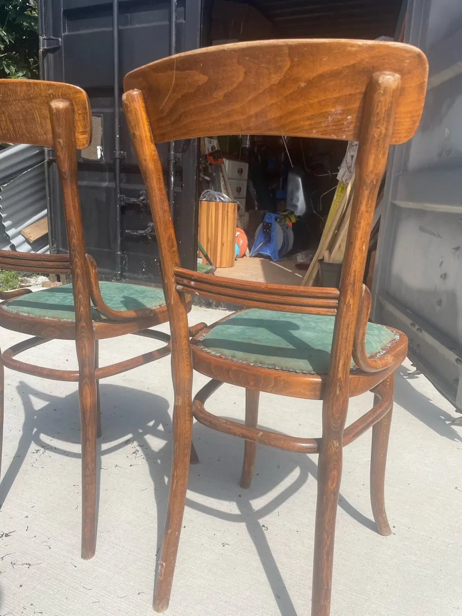 Thonet bentwood chairs - Image 4