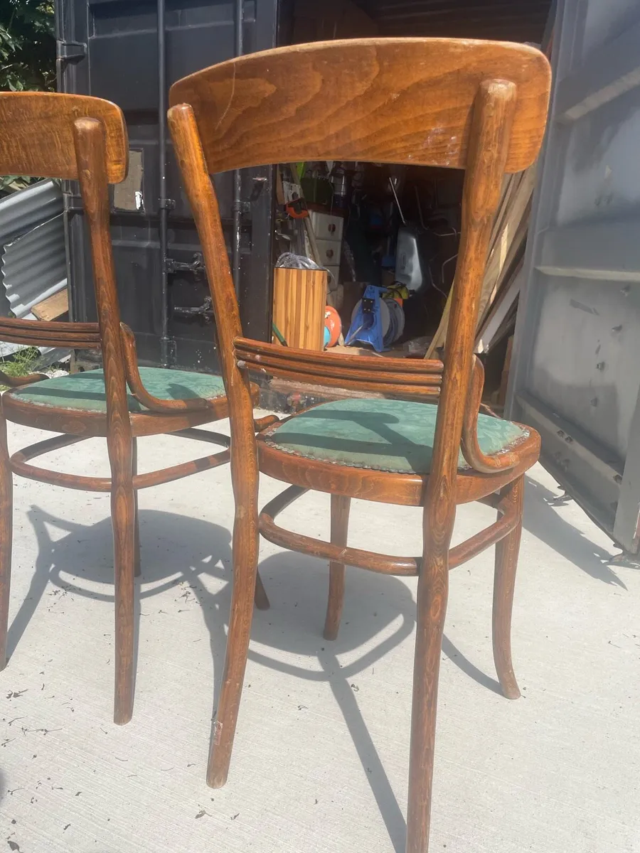 Thonet bentwood chairs - Image 3